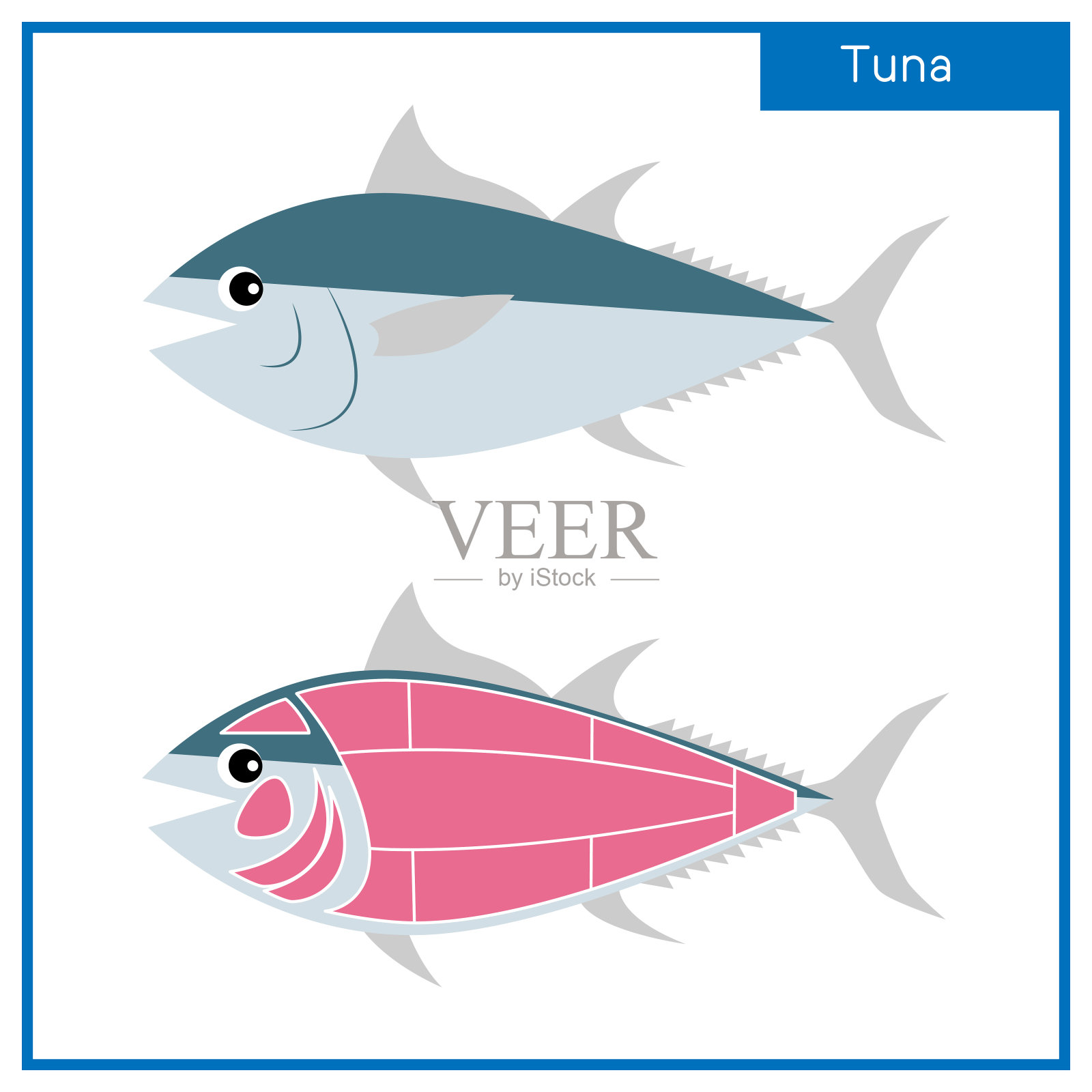 图简单的插图可爱的金枪鱼和它的部分向量插画图片素材