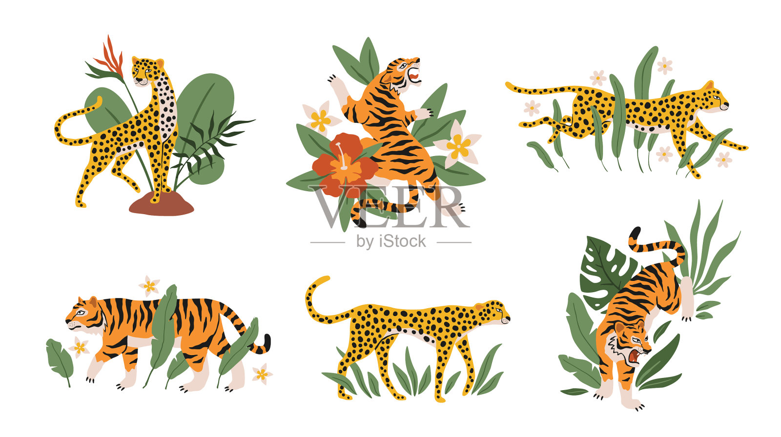 热带树叶上有老虎，豹子和美洲虎插画图片素材