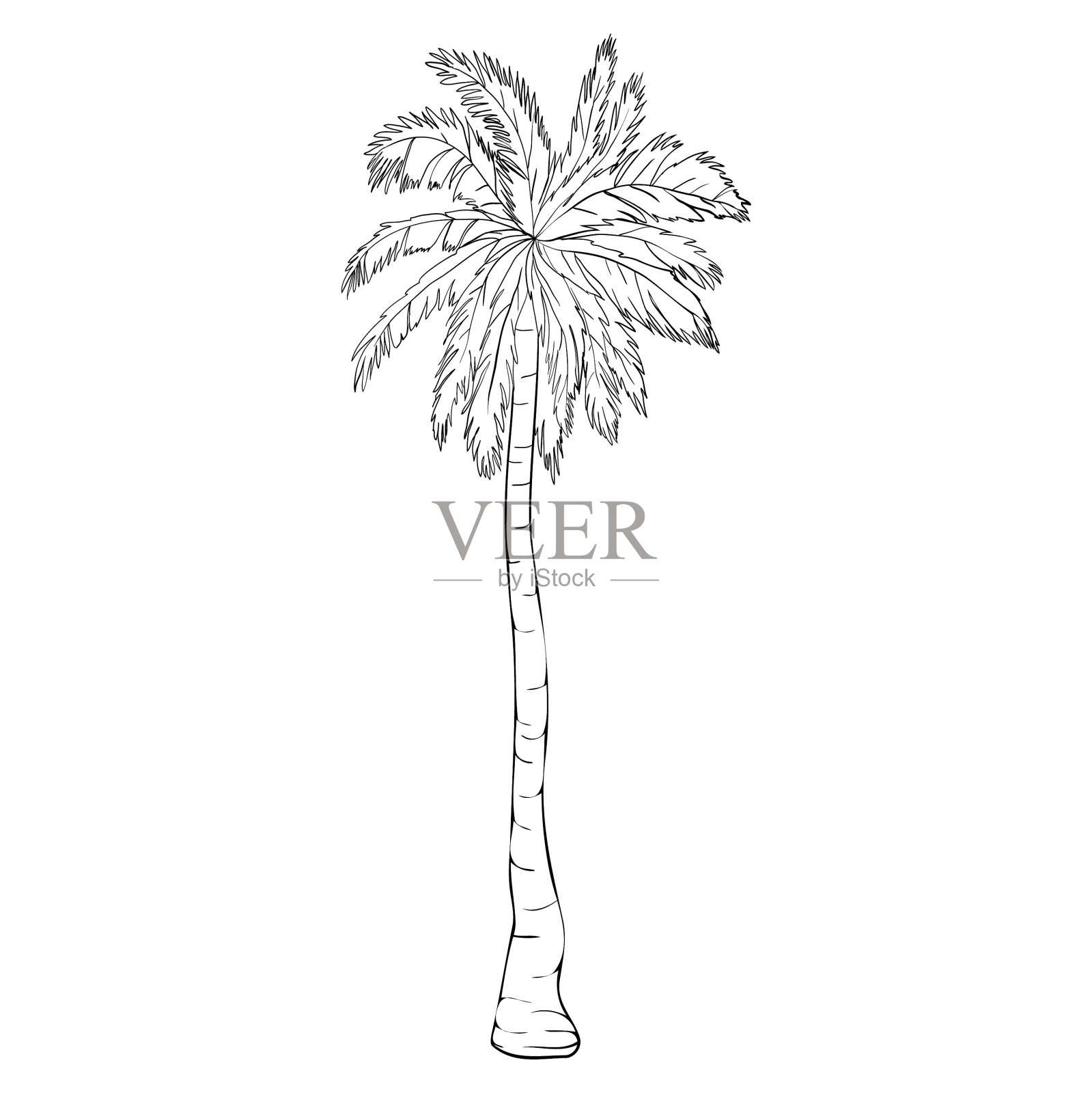 椰子树是与世隔绝的天然标志设计元素图片