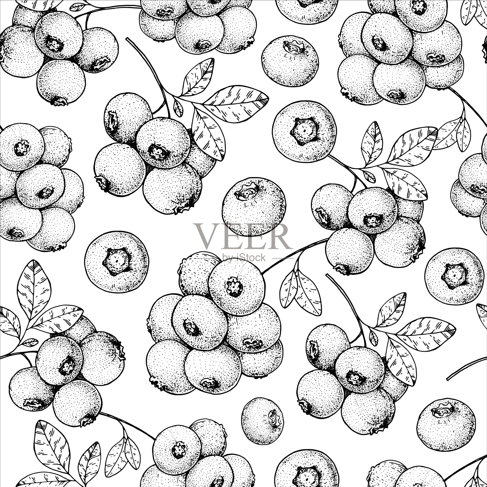 无缝的蓝莓图案。手绘草图。黑白风格插图。矢量插图。插画图片素材