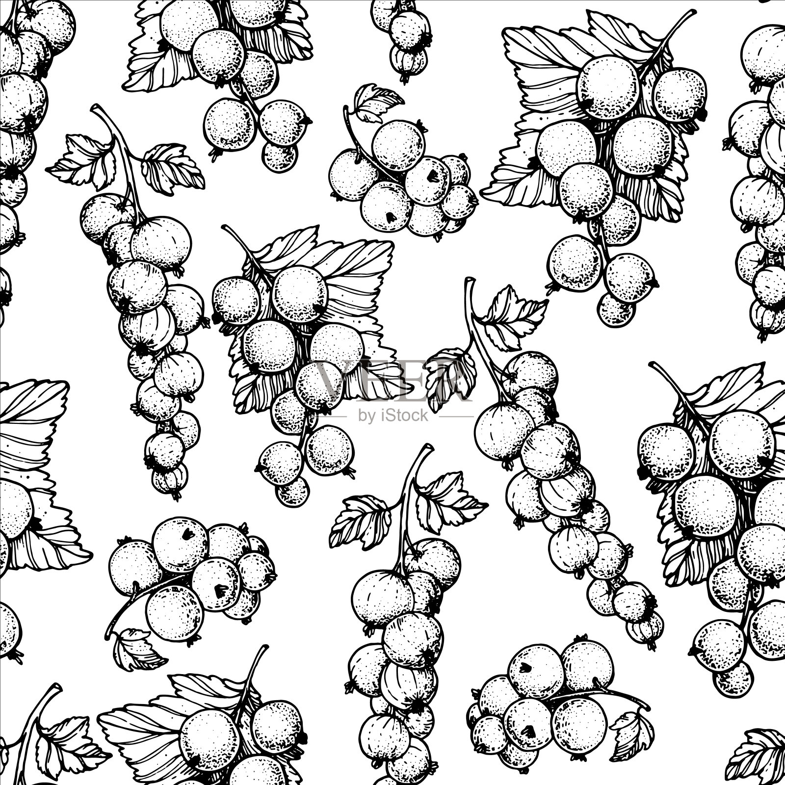 无缝的图案与醋栗浆果。手绘草图。黑白风格插图。矢量插图。设计元素图片