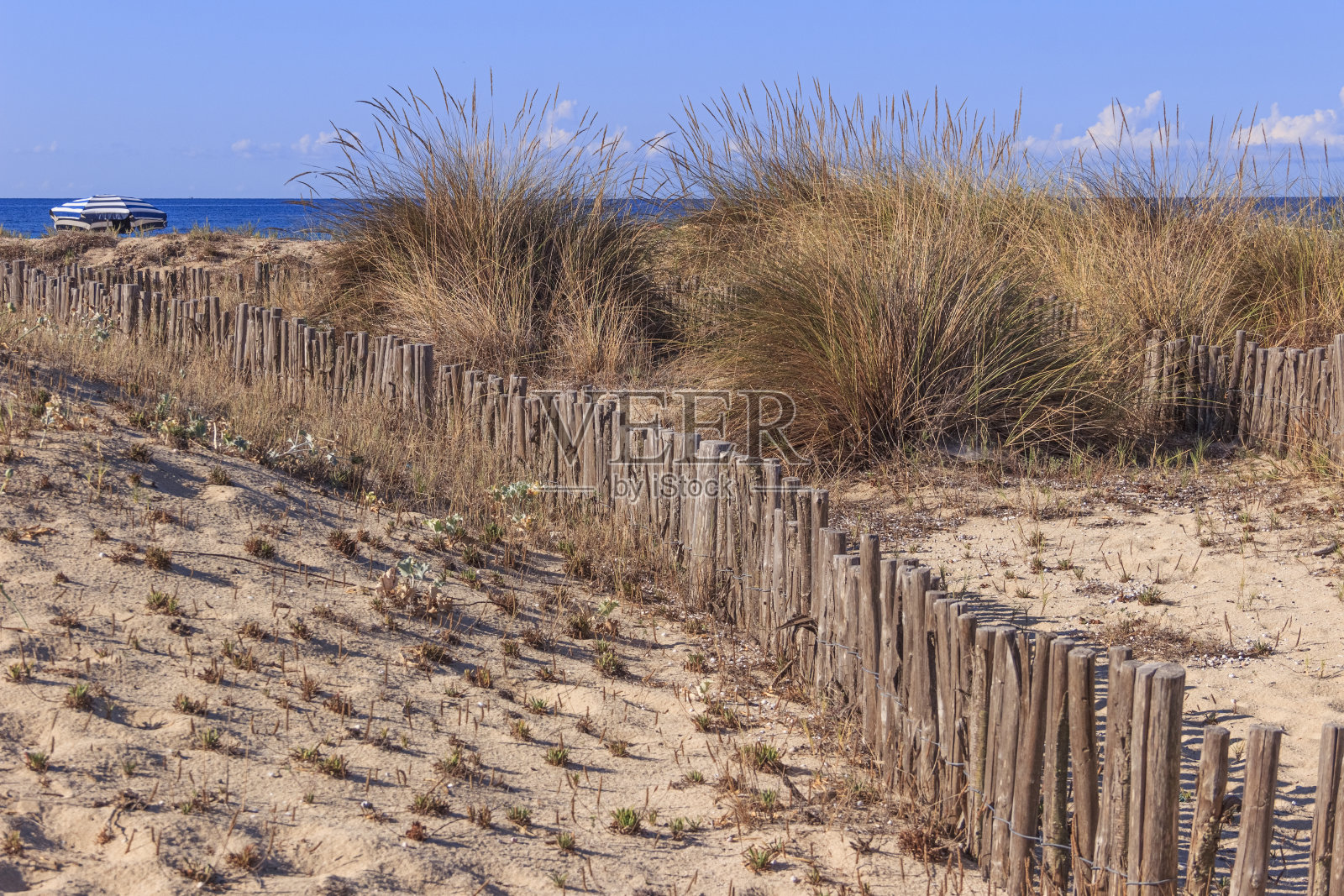 沙丘后面的孤独伞:Punta Prosciutto海滩在普利亚(意大利)延伸到自然公园“Palude del Conte e Duna Costiera”，提供了一个天堂的角落。照片摄影图片
