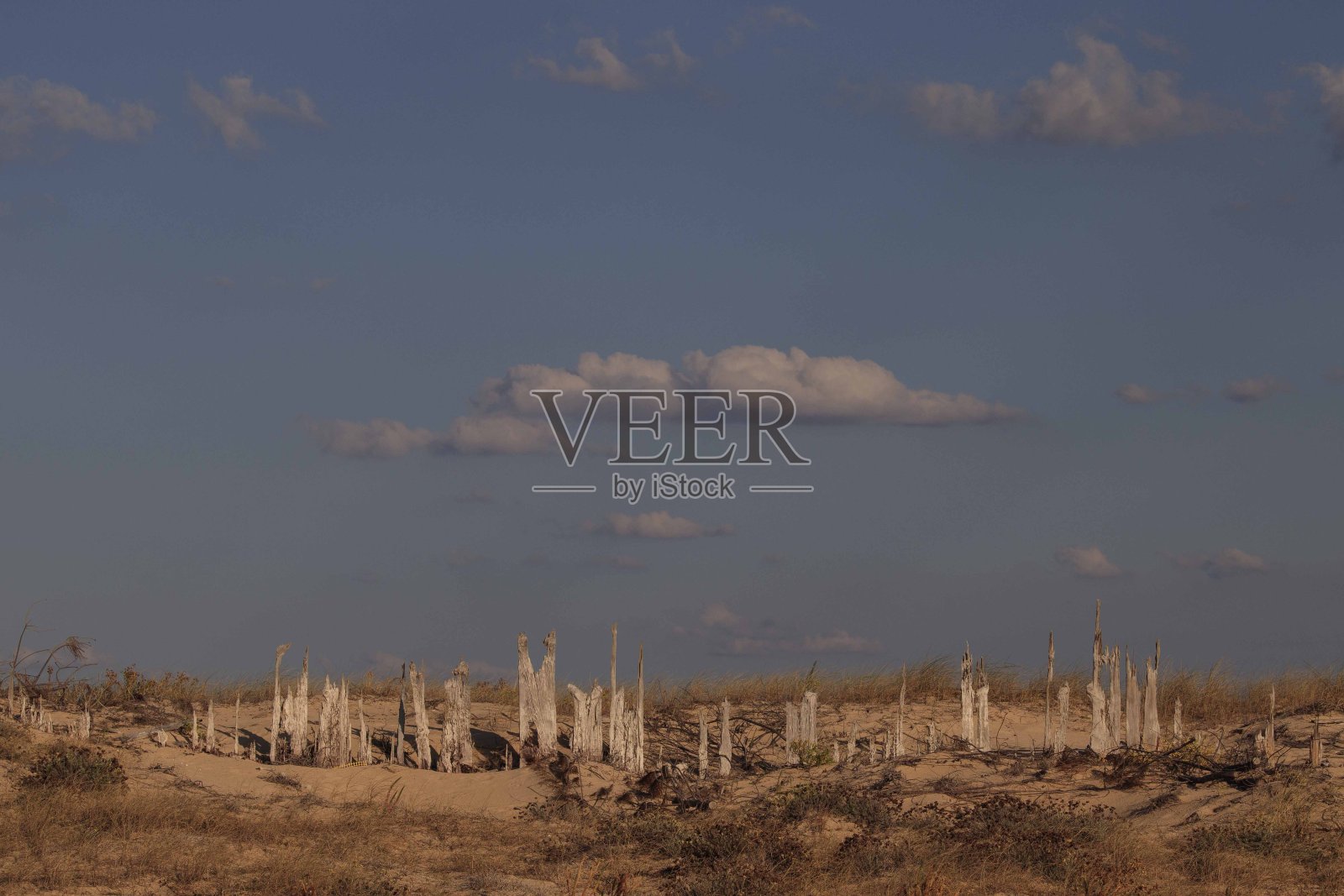 沙丘照片摄影图片