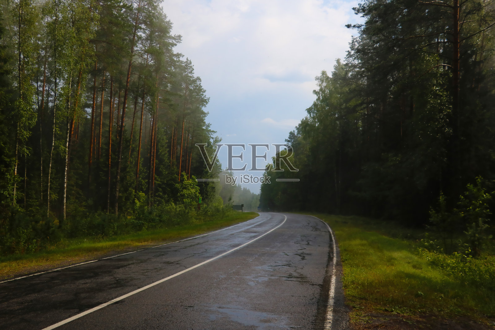 雨后沿着森林的潮湿道路。照片摄影图片