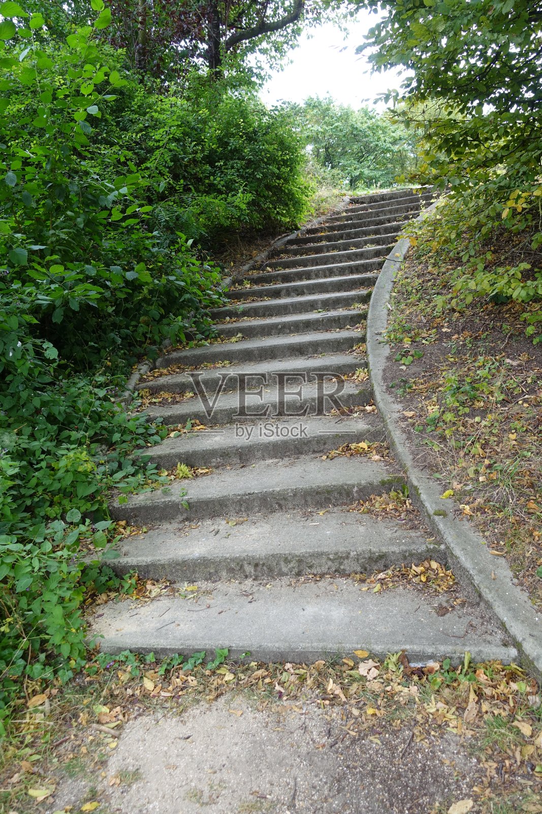 公园混凝土楼梯低视角照片摄影图片