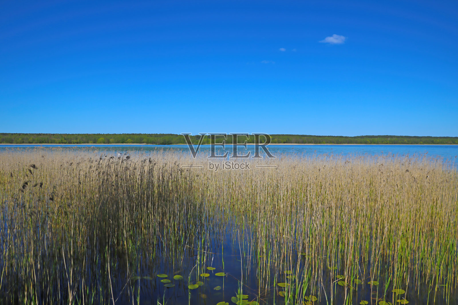 在阳光明媚的日子看一个大湖。照片摄影图片