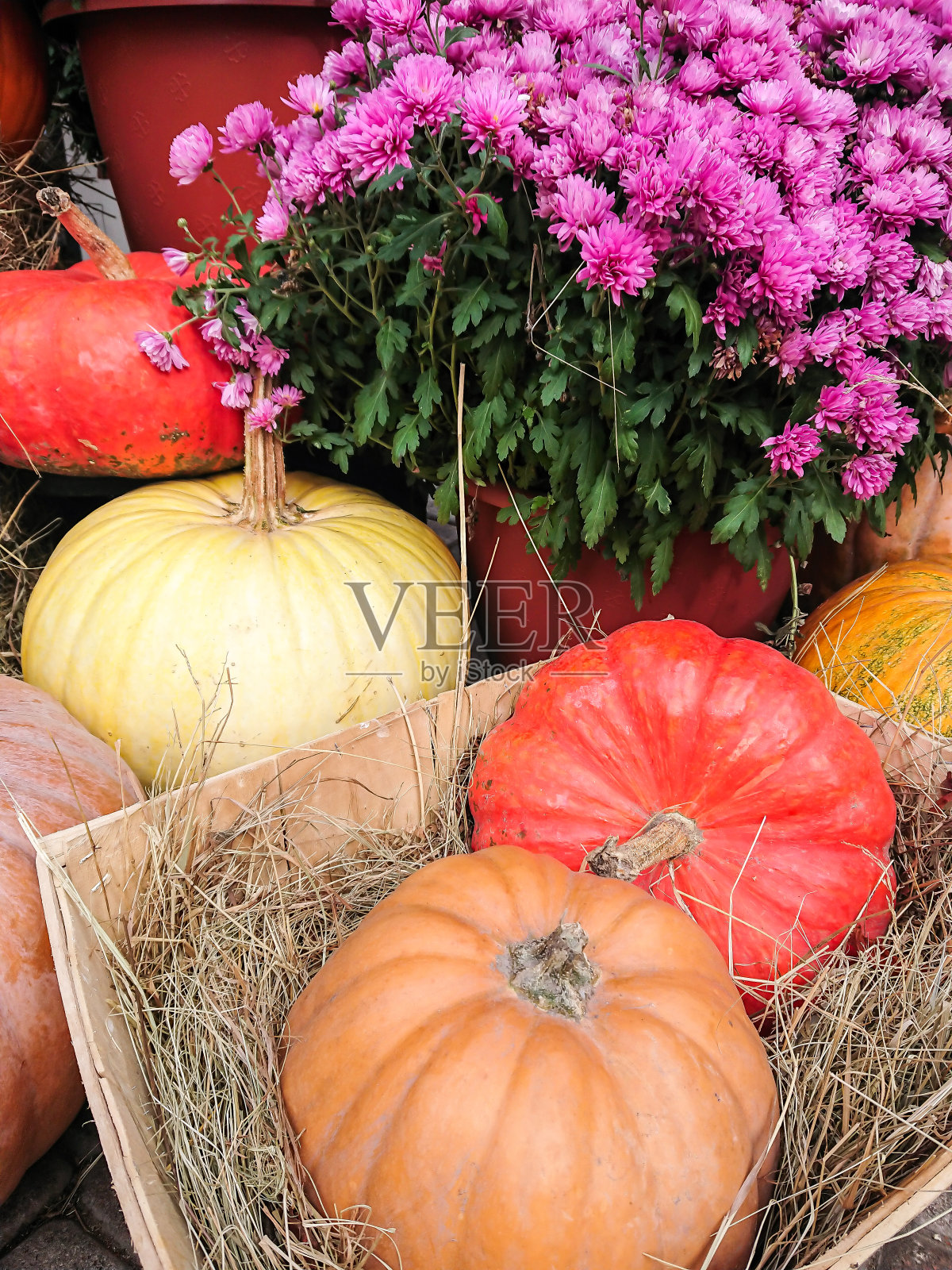 万圣节的理由照片摄影图片