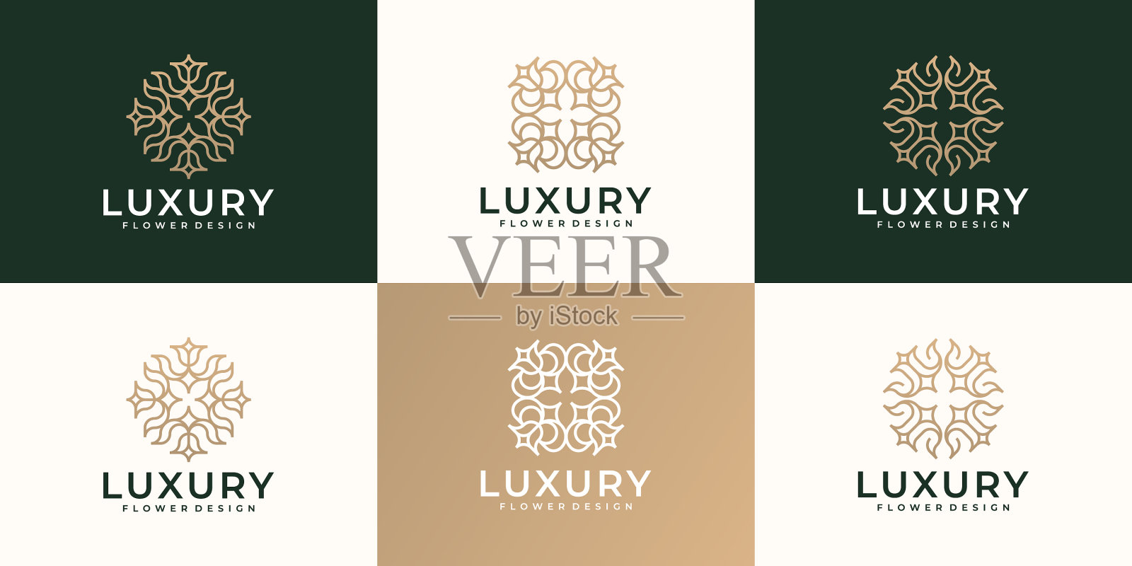 女性奢华花卉手绘标志设计插画图片素材