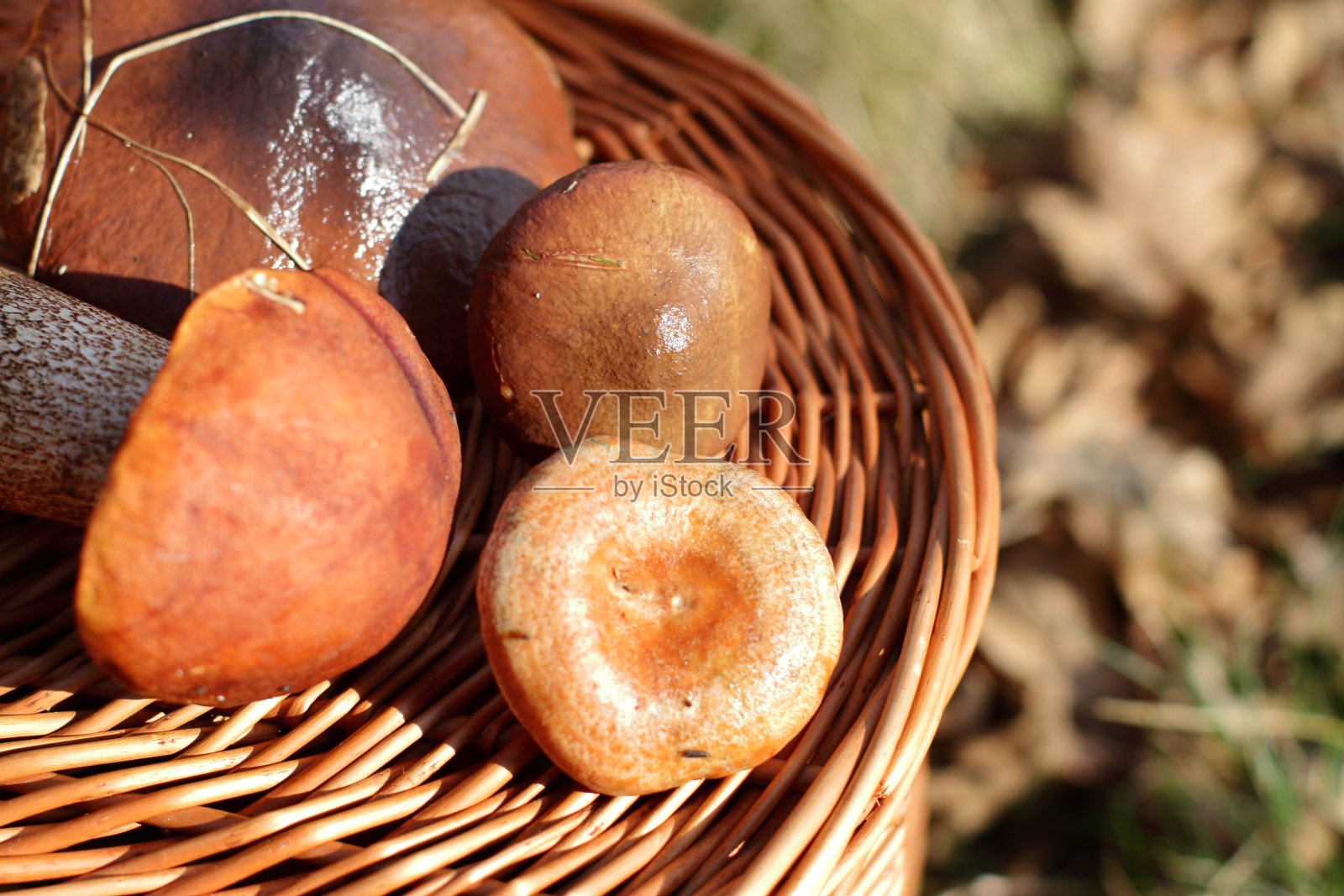 满满一篮子的应季食品照片摄影图片