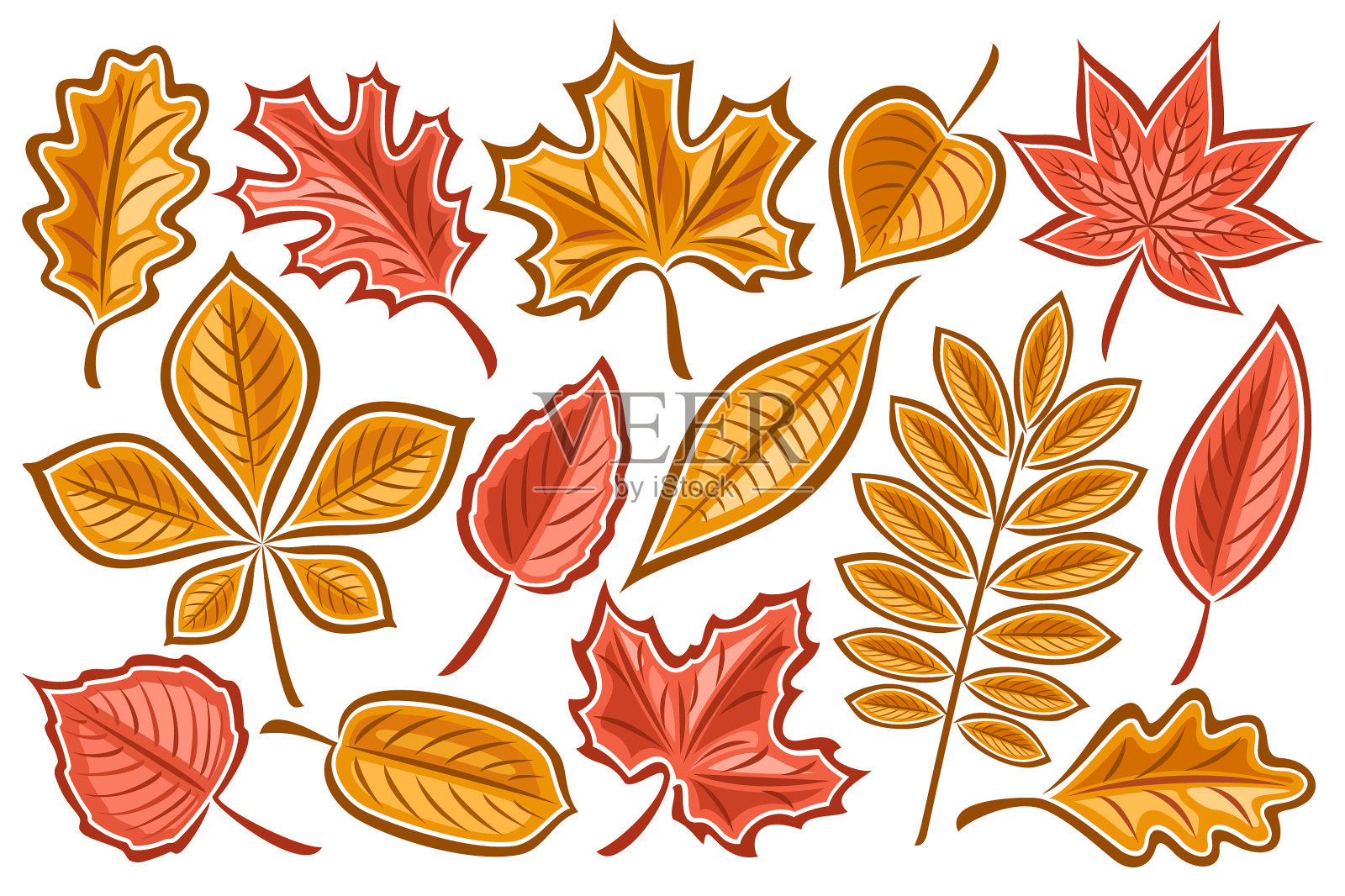 一套秋叶设计元素图片