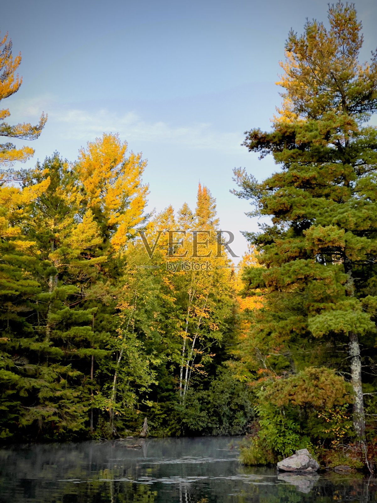 树木改变颜色照片摄影图片