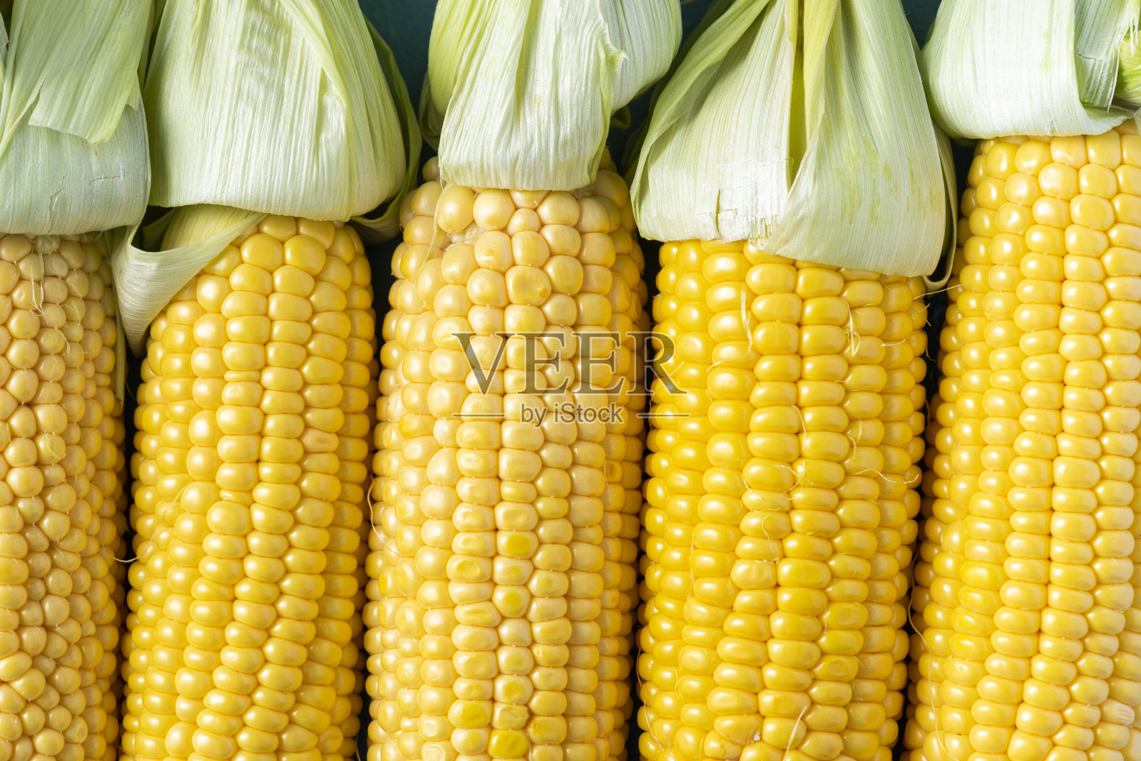 玉米或带壳的玉米穗。新鲜蔬菜玉米作物。关闭宏视图照片摄影图片
