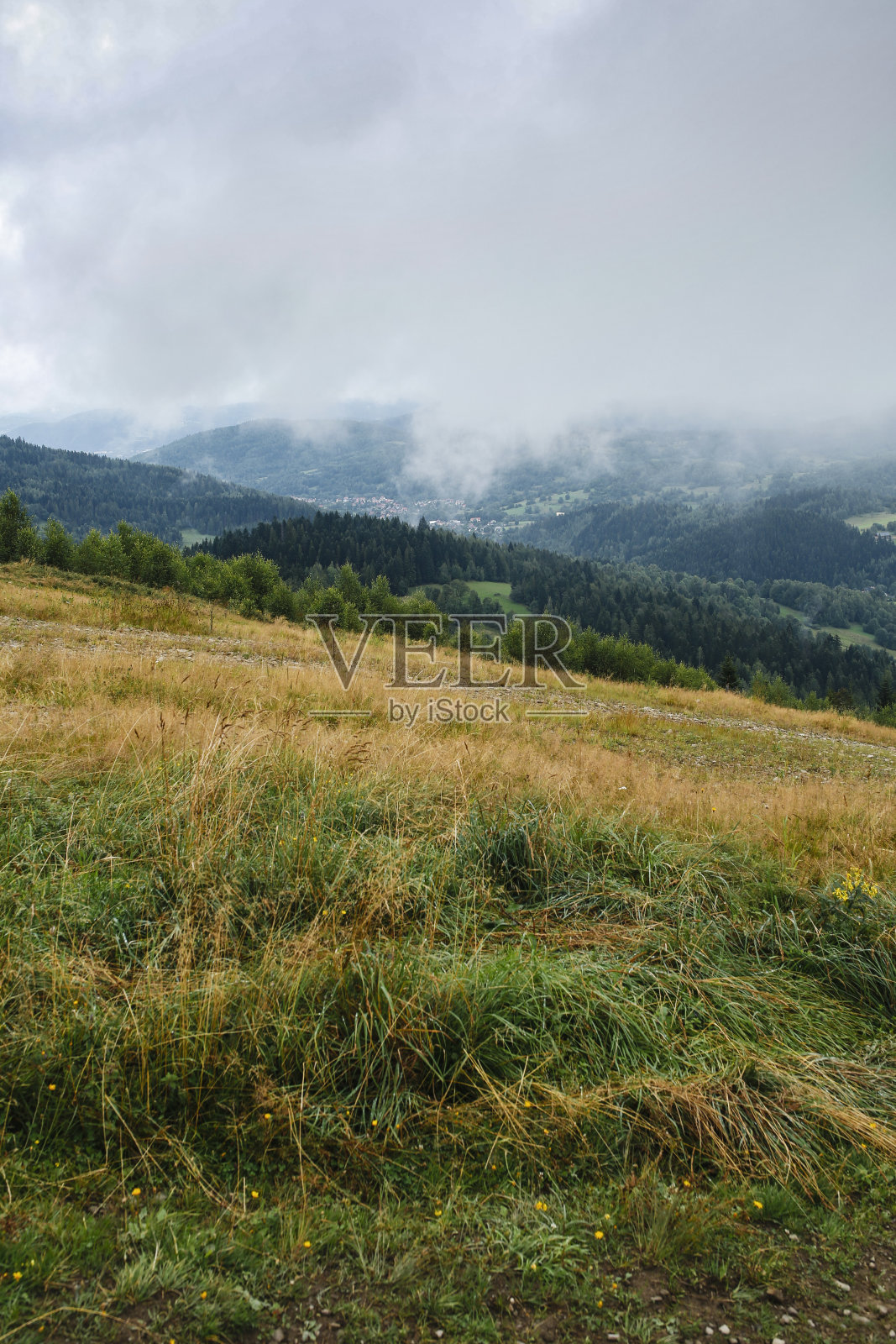 山上有雾的早晨照片摄影图片