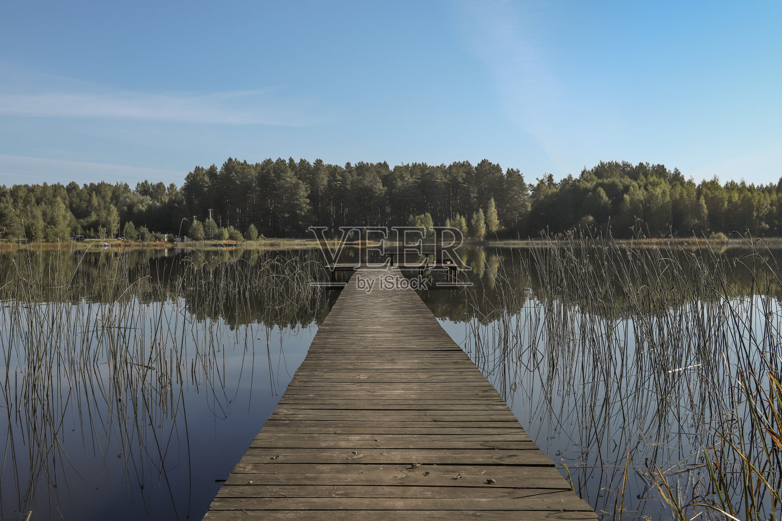 风景与木制长码头或码头在透视，湖，森林在地平线和晴朗的天空在夏天照片摄影图片