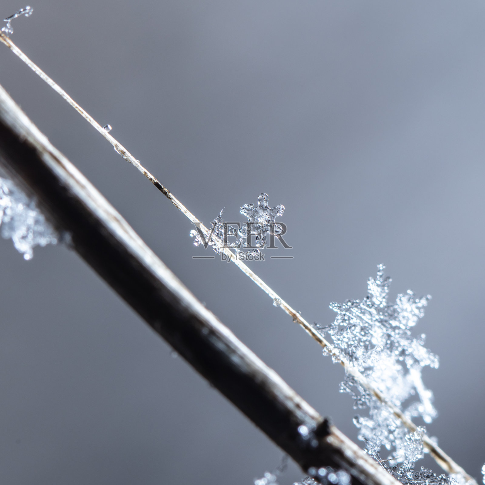 雪花在雪地上。寒假和圣诞节的背景照片摄影图片