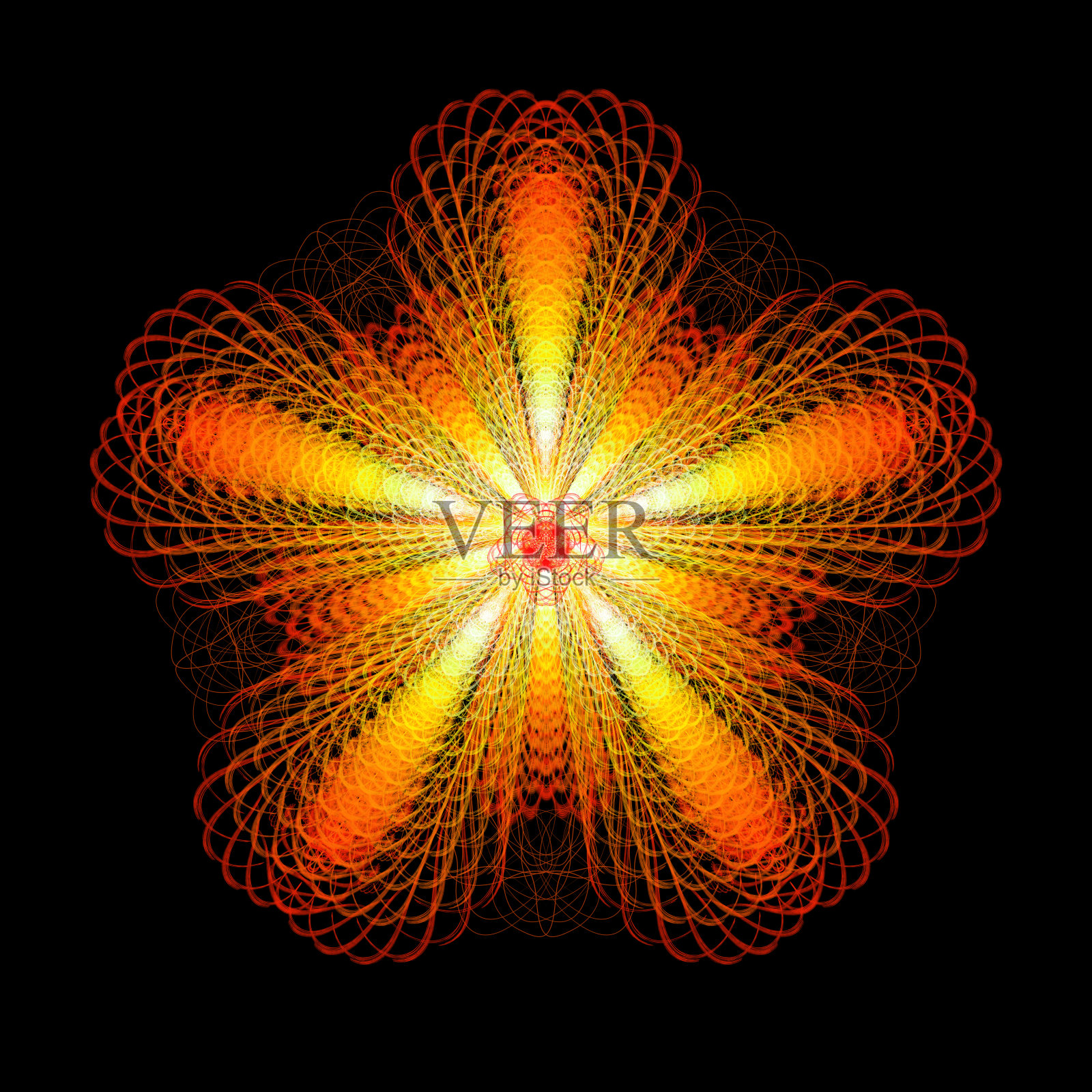 彩色插图斐波那契分形花插画图片素材