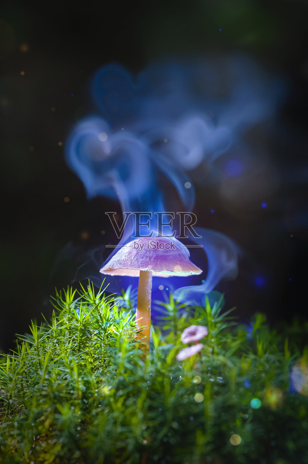 棕色魔法蘑菇像鹿一样冒烟照片摄影图片