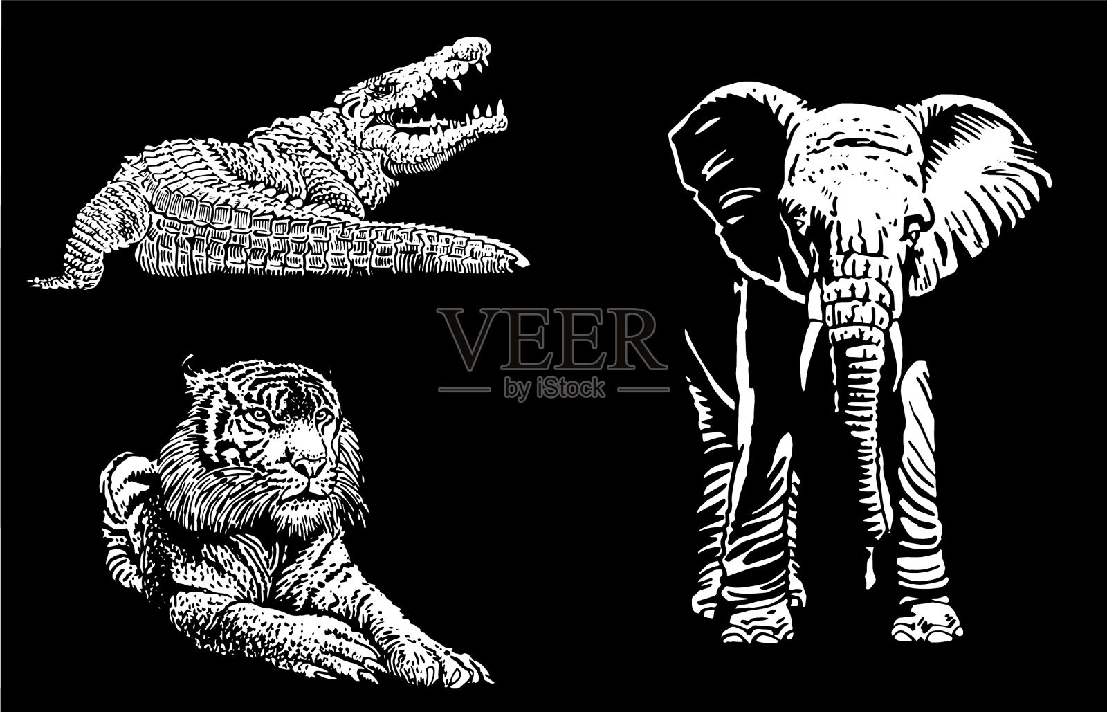 图形三维集合的非洲动物在黑色插画图片素材