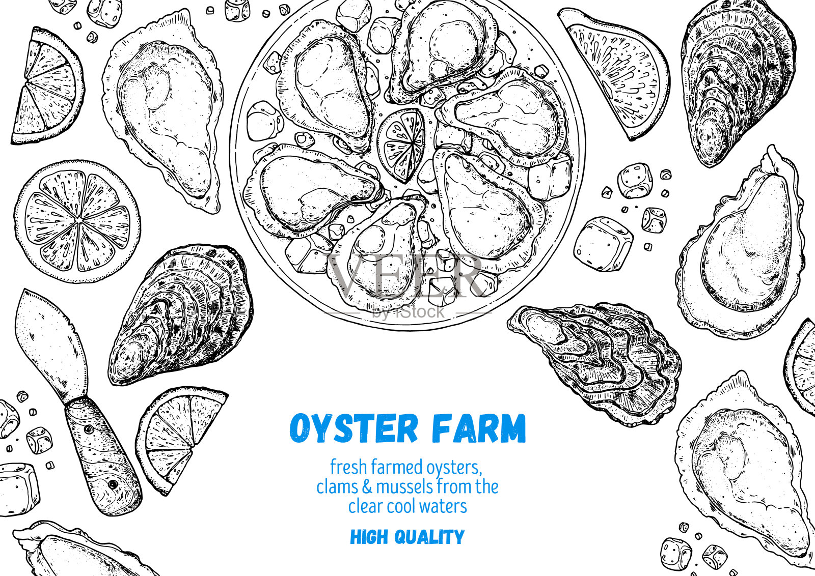 生蚝及加柠檬和冰的生蚝菜。手绘矢量插图。前视图。设计模板。食品菜单。插画图片素材