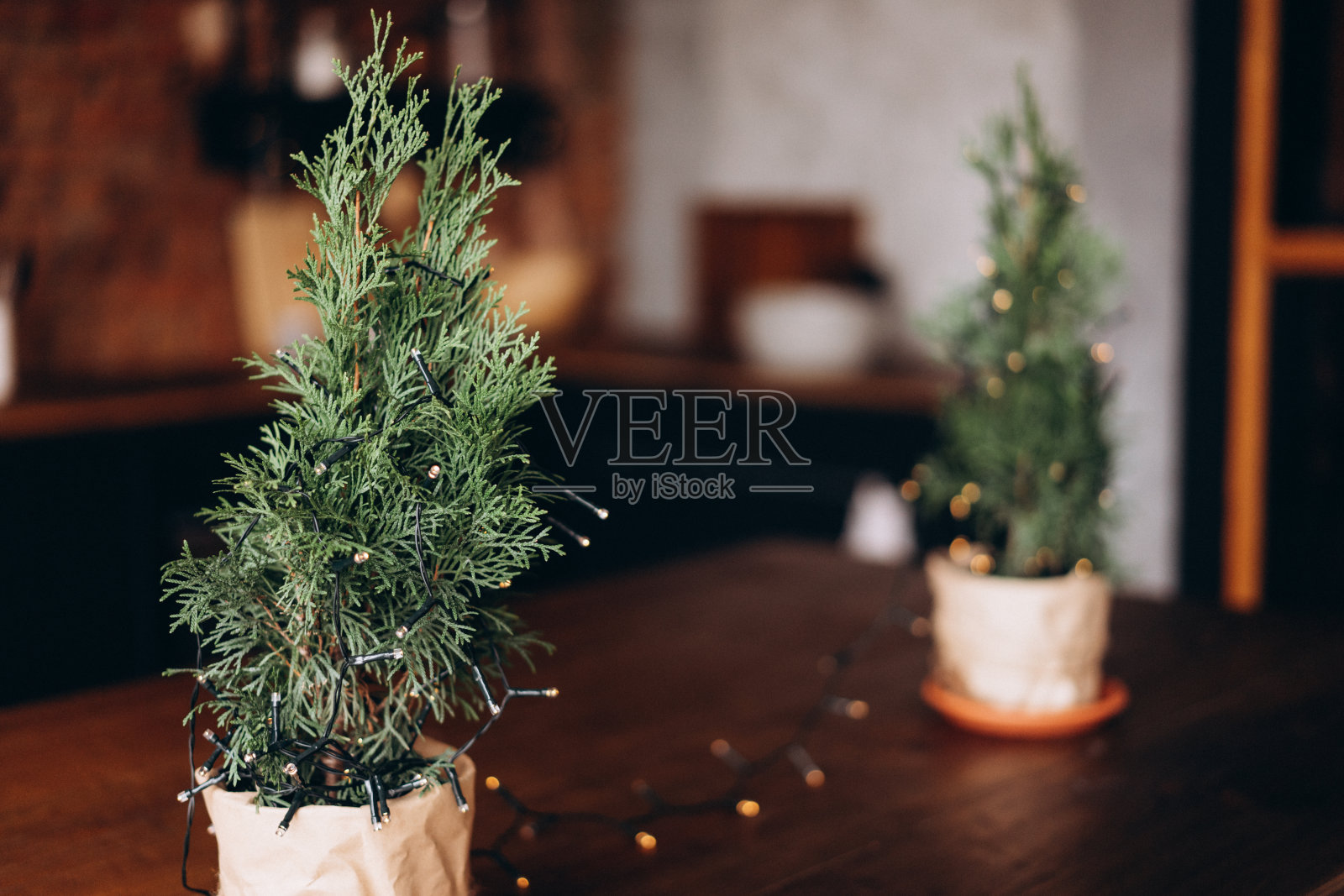 圣诞摄影，小圣诞树，家居装饰，明信片照片摄影图片