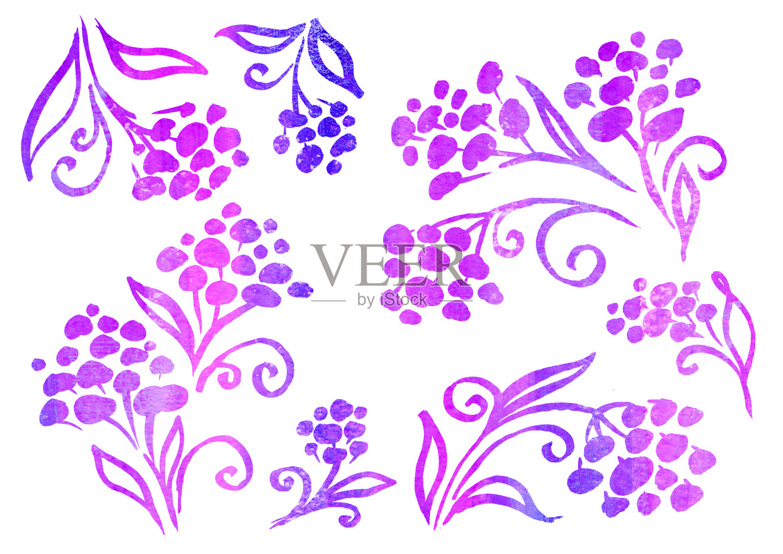 水彩集花卉元素在白色背景上的线条艺术的风格。秋天的紫罗兰，紫色和丁香花插画图片素材