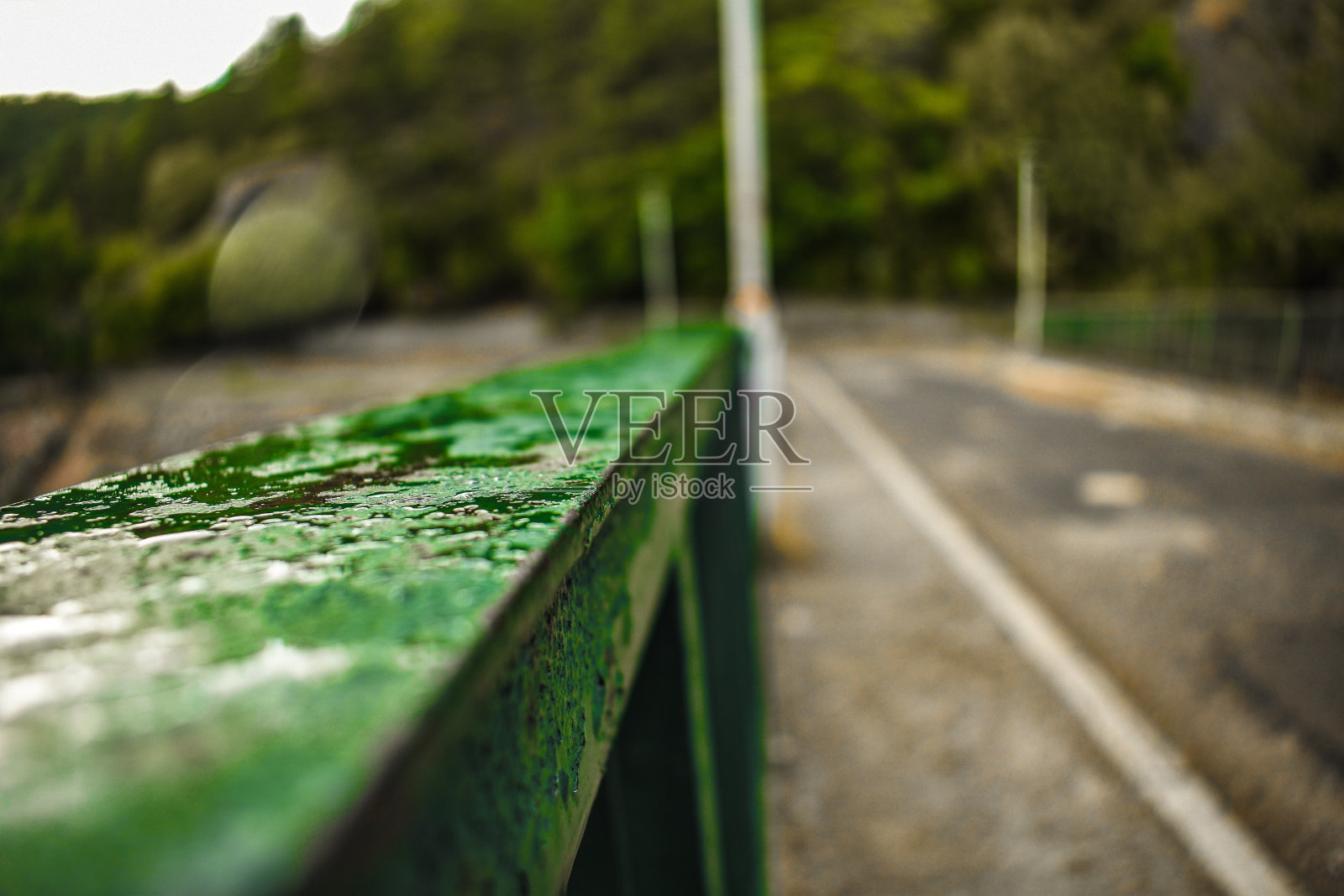 自然之旅照片摄影图片