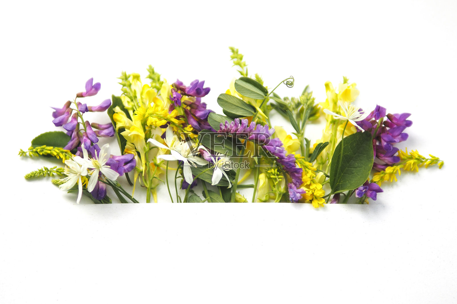 五颜六色的野花和草本植物放在白色的背景上，就像放在口袋里一样。照片摄影图片