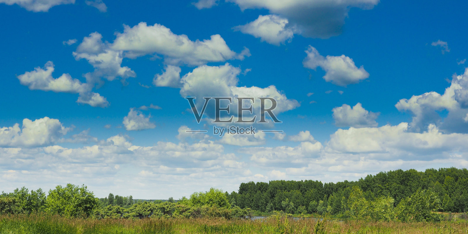 深绿色的森林和多云的天空的美丽风景。照片摄影图片