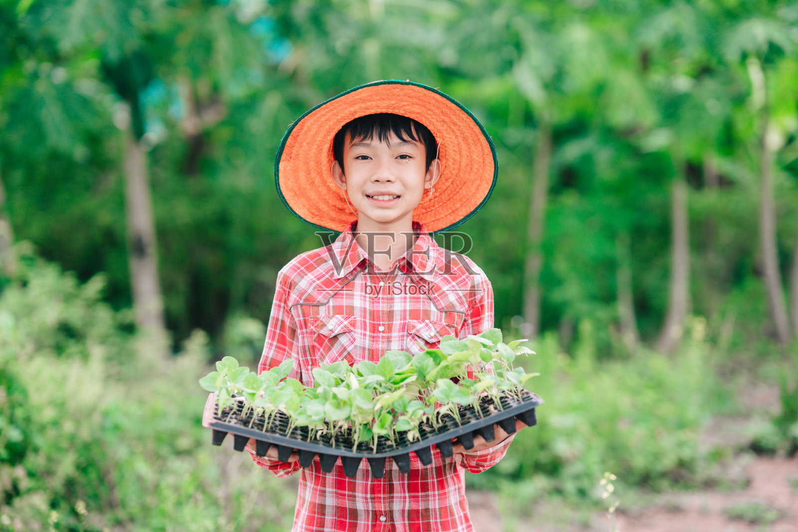 孩子们手持播种机，在绿色大自然的模糊背景上种植蔬菜照片摄影图片
