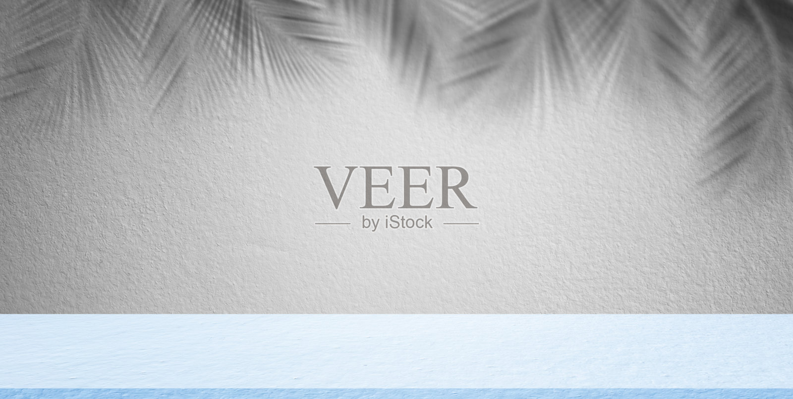 空蓝与叶棕榈照片摄影图片