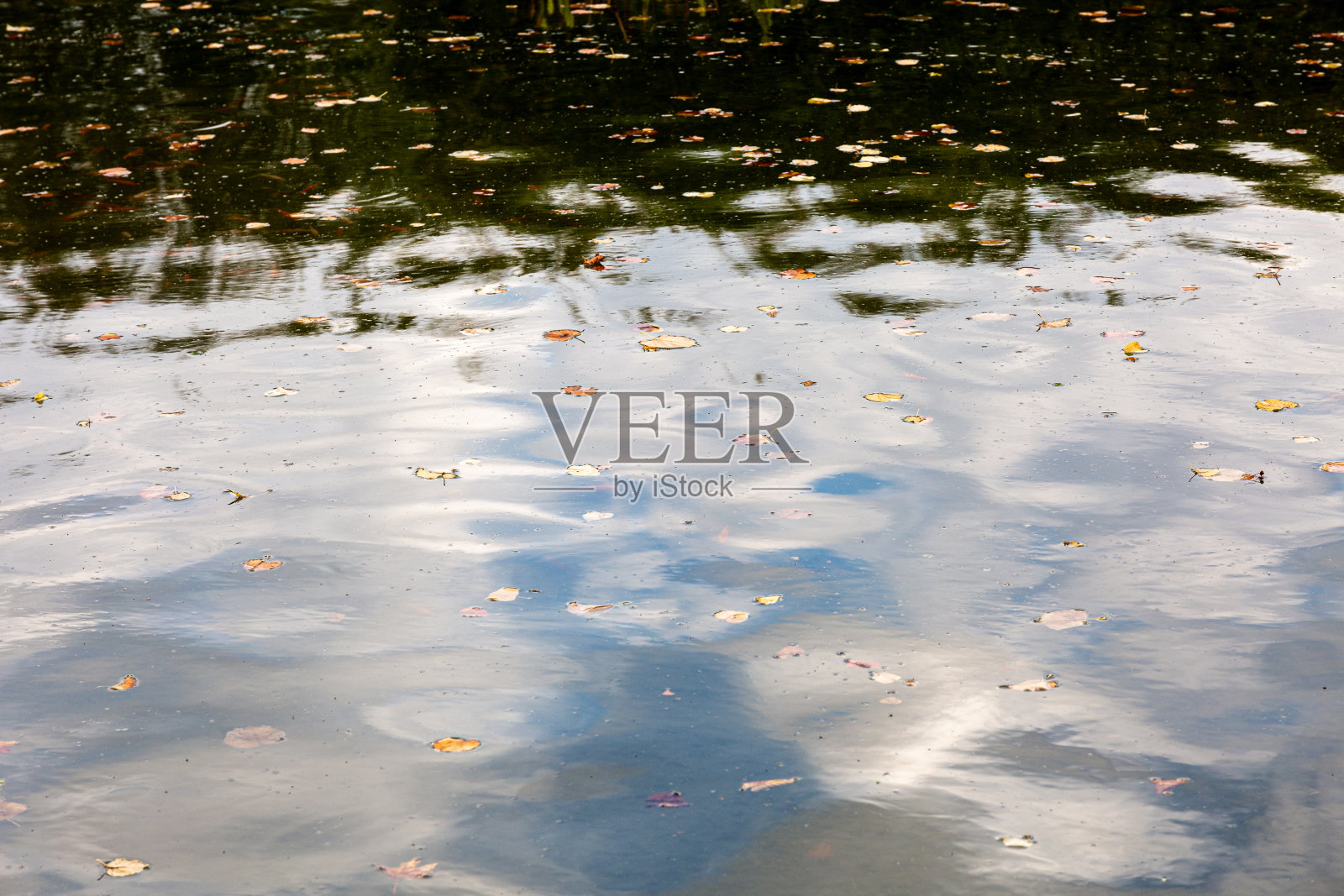 秋叶在水面上的抽象倒影照片摄影图片