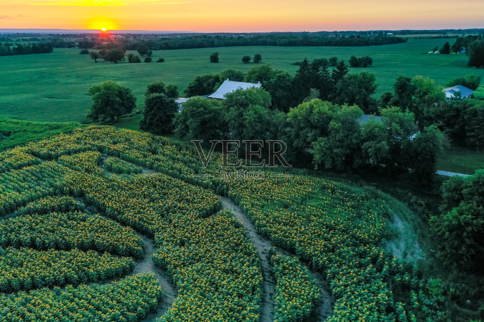 加拿大库克敦，夕阳下27号公路上的农场照片摄影图片