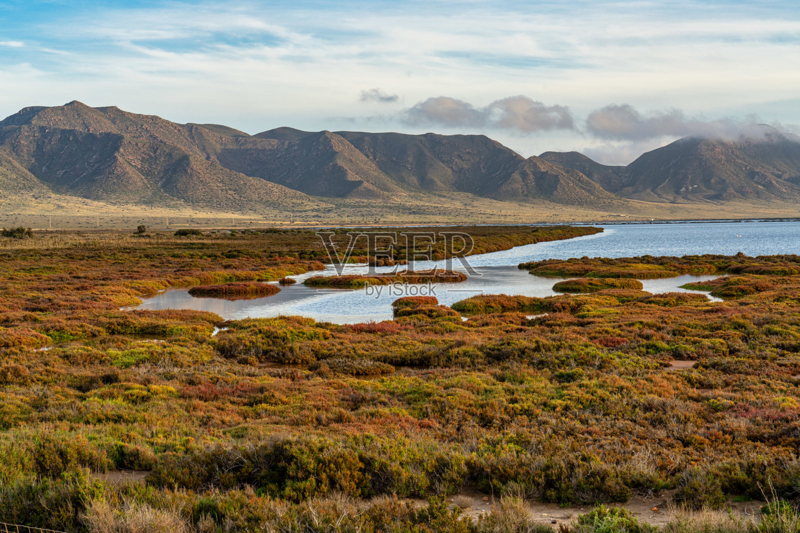 拉斯萨利纳斯在卡波德加塔阿尔梅里亚。西班牙的火烈鸟湖照片摄影图片