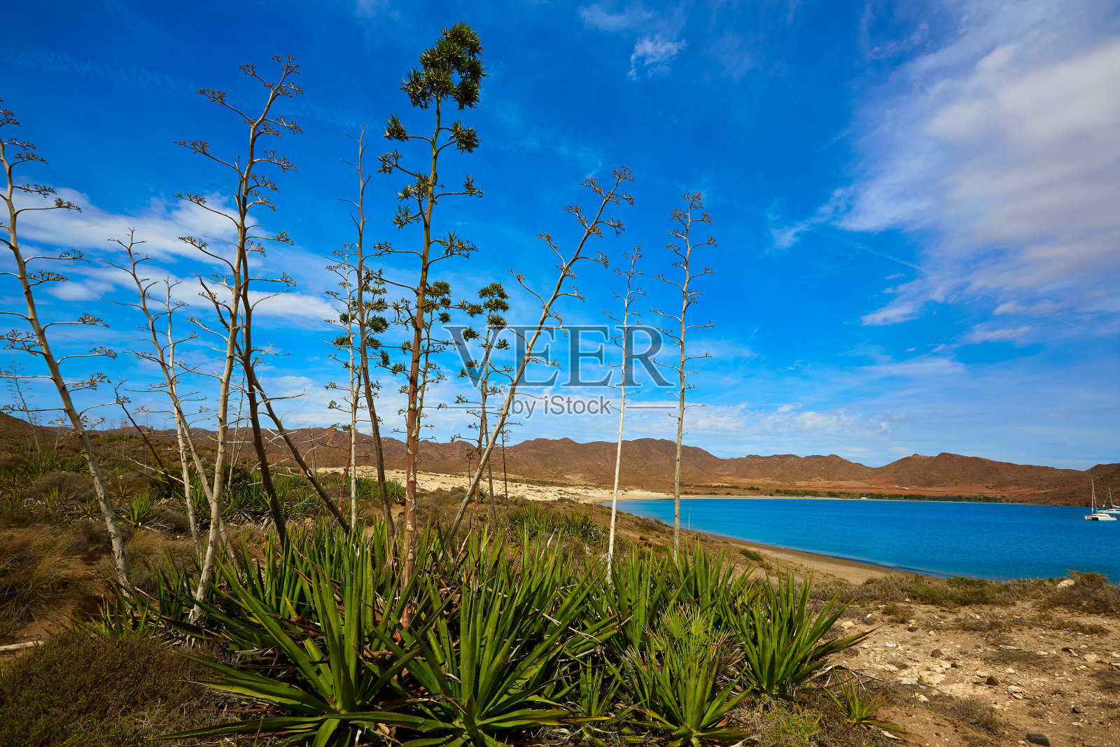 阿尔梅里亚海滩热那亚海滩卡波德加塔照片摄影图片