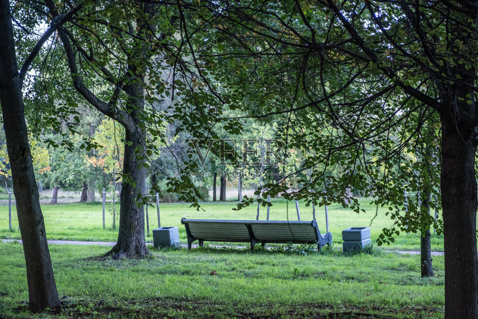 孤独，空荡荡的公园长椅。照片摄影图片