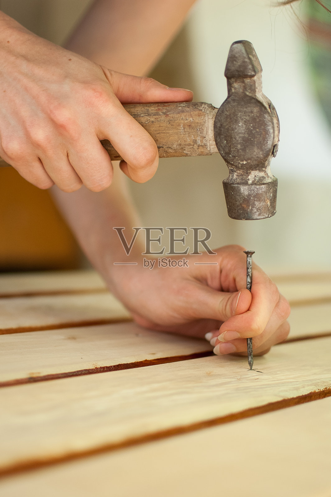 女性手用羊角锤和钉子制作木凳，性别平等，女权主义，自己做的概念照片摄影图片