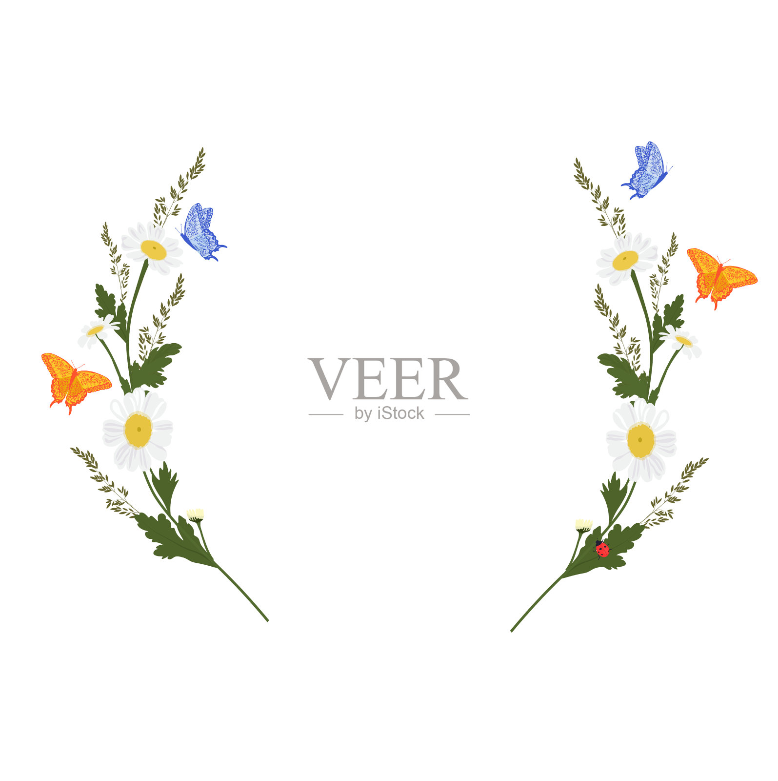 雏菊花环配上小插图插画图片素材