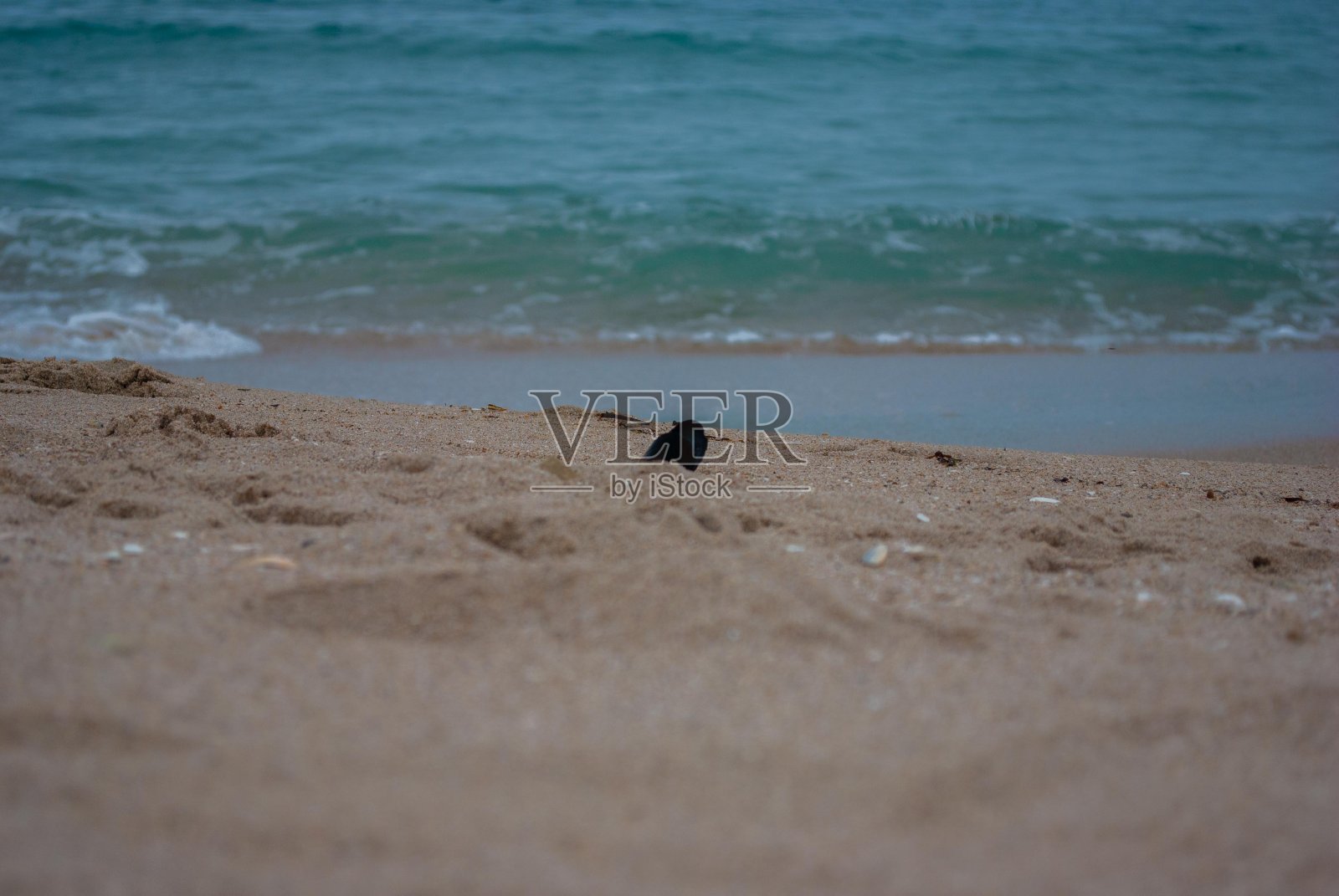 在海边休息。暴风雨后的海滨。照片摄影图片