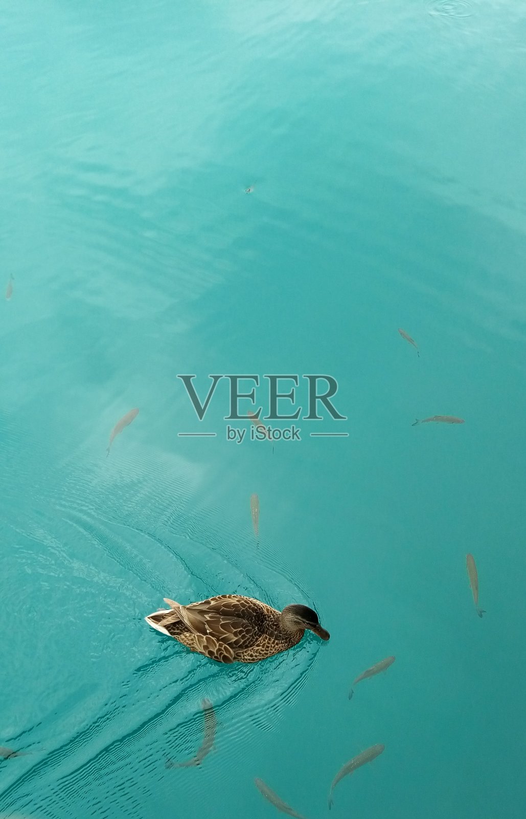 Plitvice湖国家公园照片摄影图片