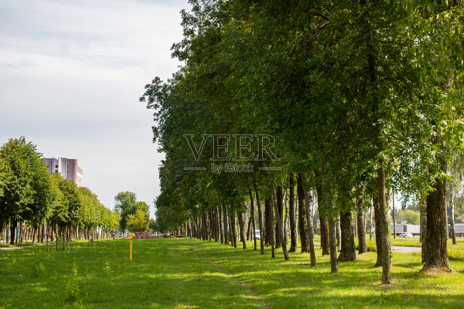 沿着绿色公园的道路到城市照片摄影图片