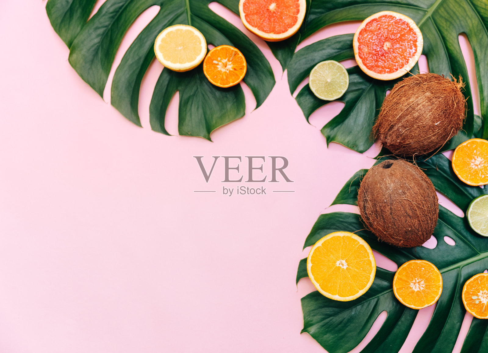 粉红色背景上有怪兽树叶和椰子。平铺，俯视图，复制空间。夏季热带背景照片摄影图片