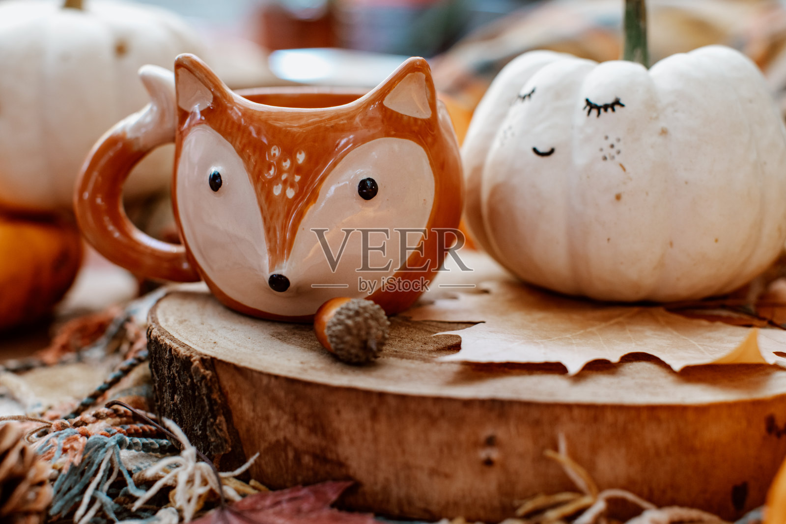 感恩节。万圣节。秋天的季节。可爱的白色南瓜。收获南瓜。秋天背景照片摄影图片