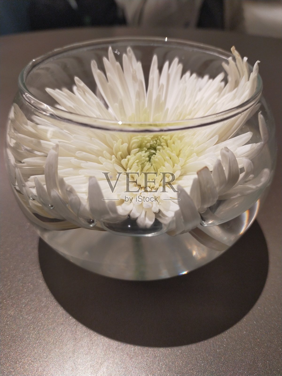 玻璃花饰照片摄影图片