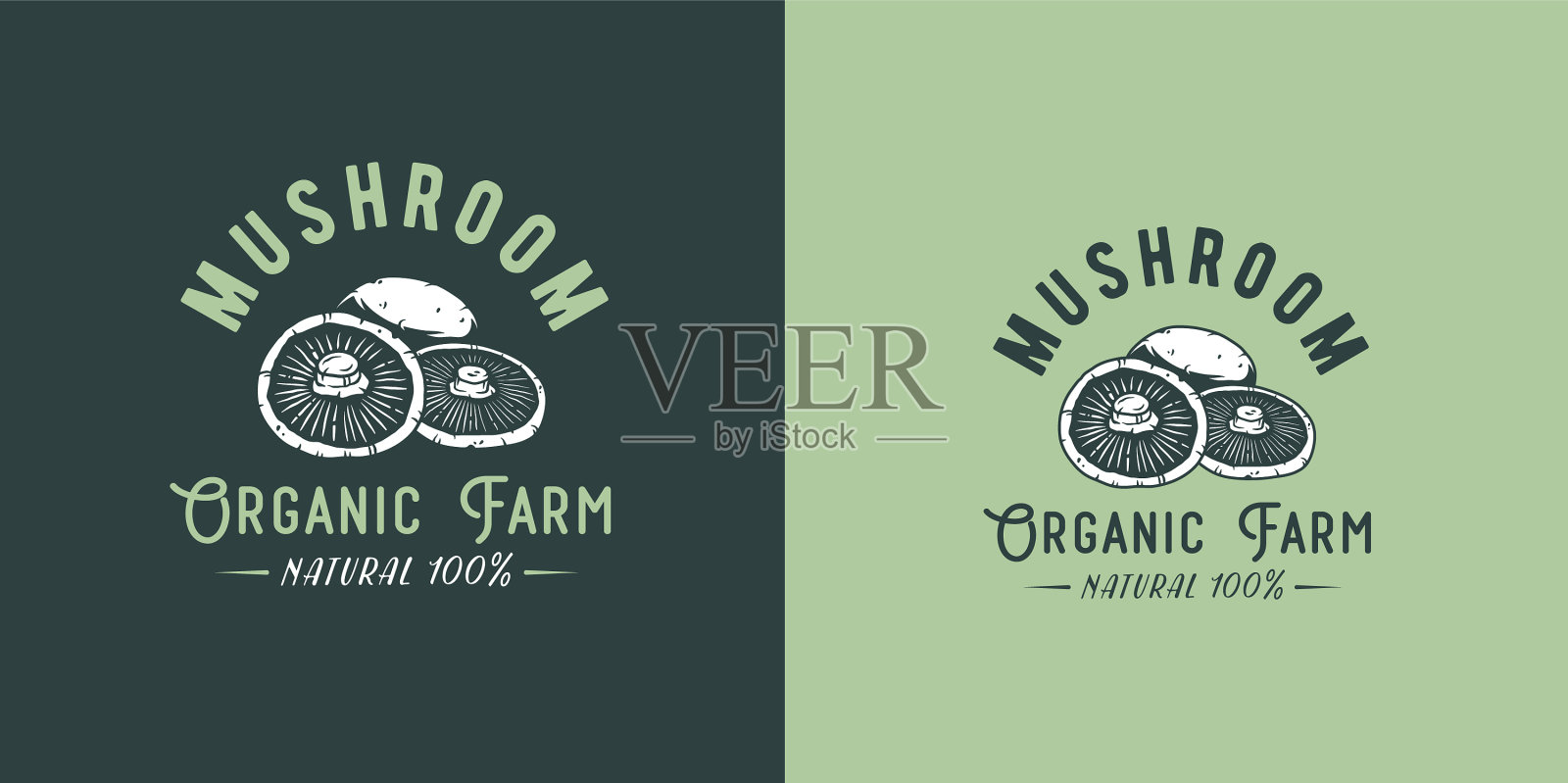 蘑菇采摘，香槟酒，奶油，白色纽扣插画图片素材