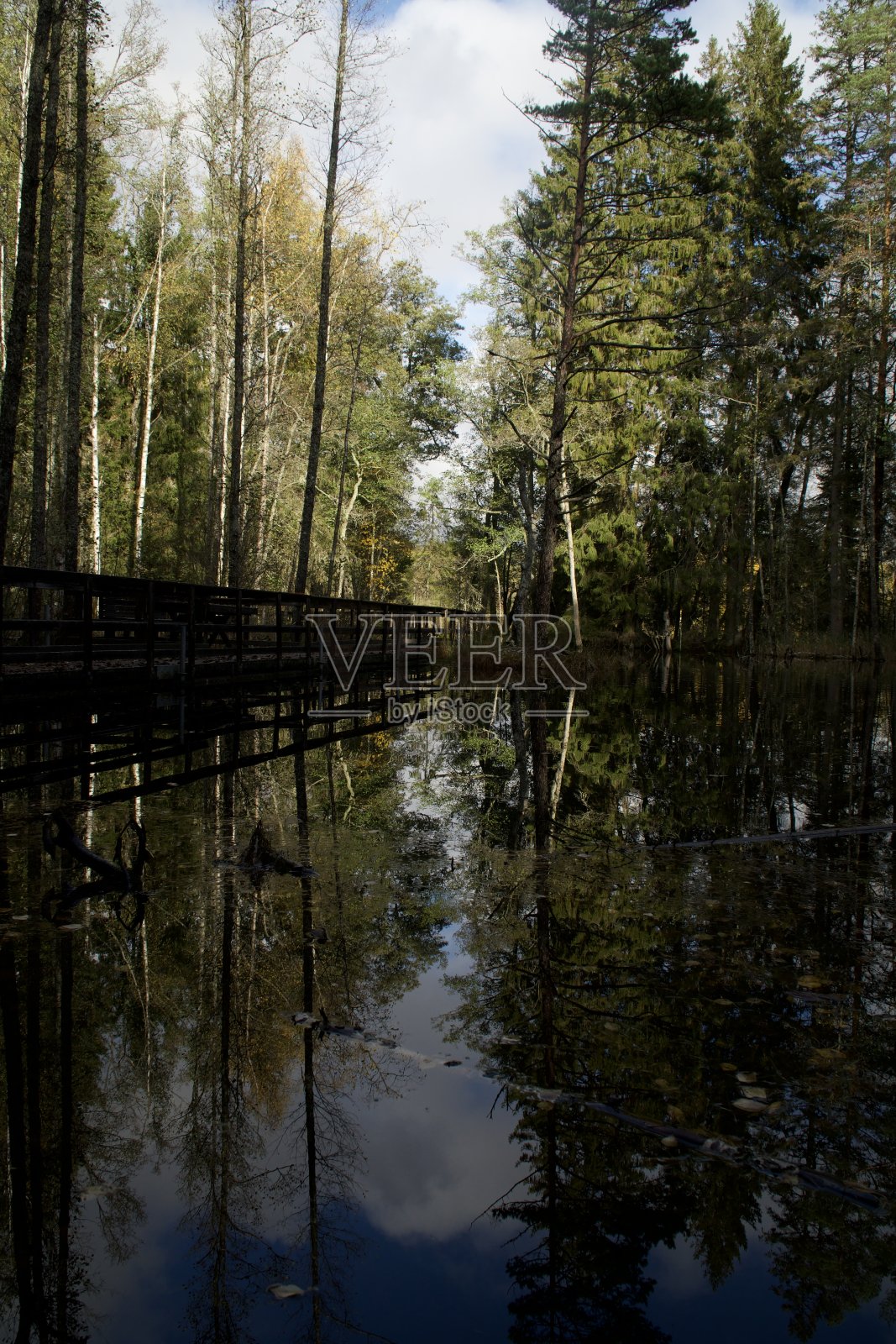 秋天大自然照片摄影图片