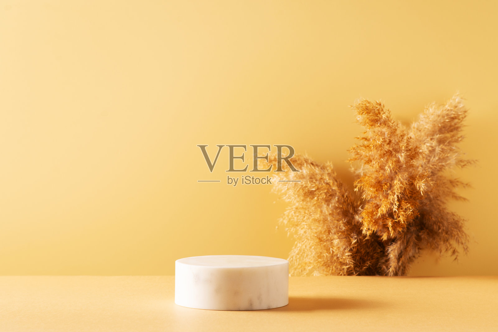 秋黄色的台座和竖立的仿蒲苇照片摄影图片