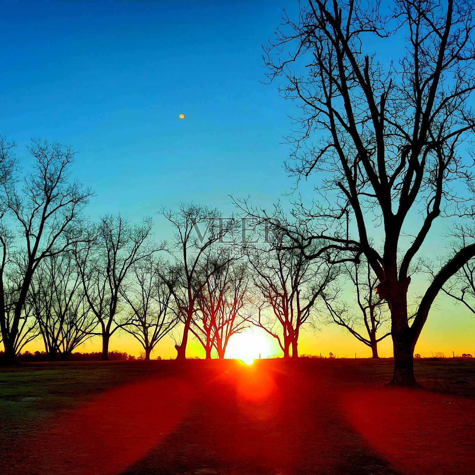 天使的到来照片摄影图片