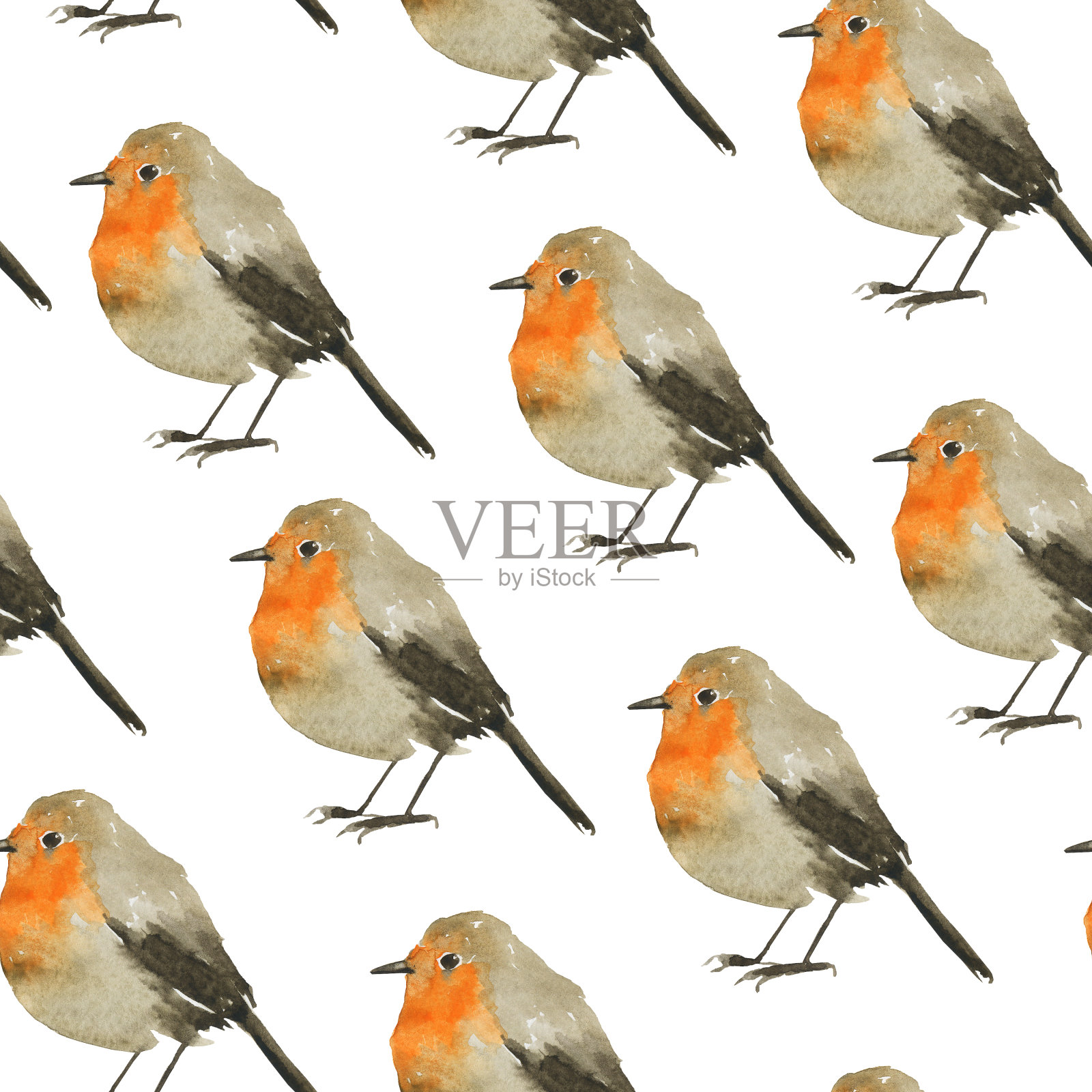 无缝模式知更鸟在白色背景。水彩手绘插图。湿水彩画风格。可爱的冬天灰色和橙色的鸟。完美的数码纸，墙纸，打印。插画图片素材