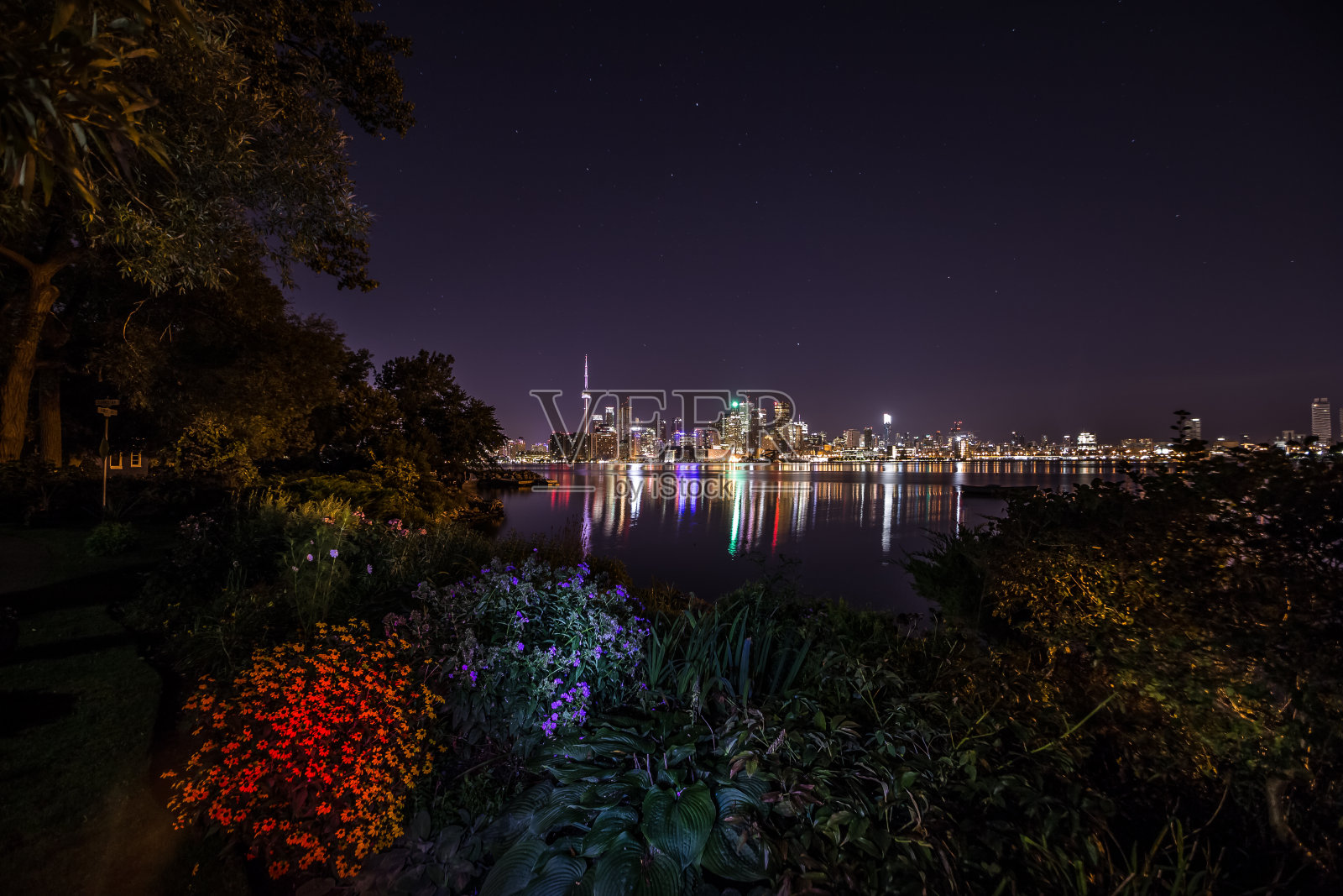 夜晚的多伦多，加拿大的安大略省照片摄影图片