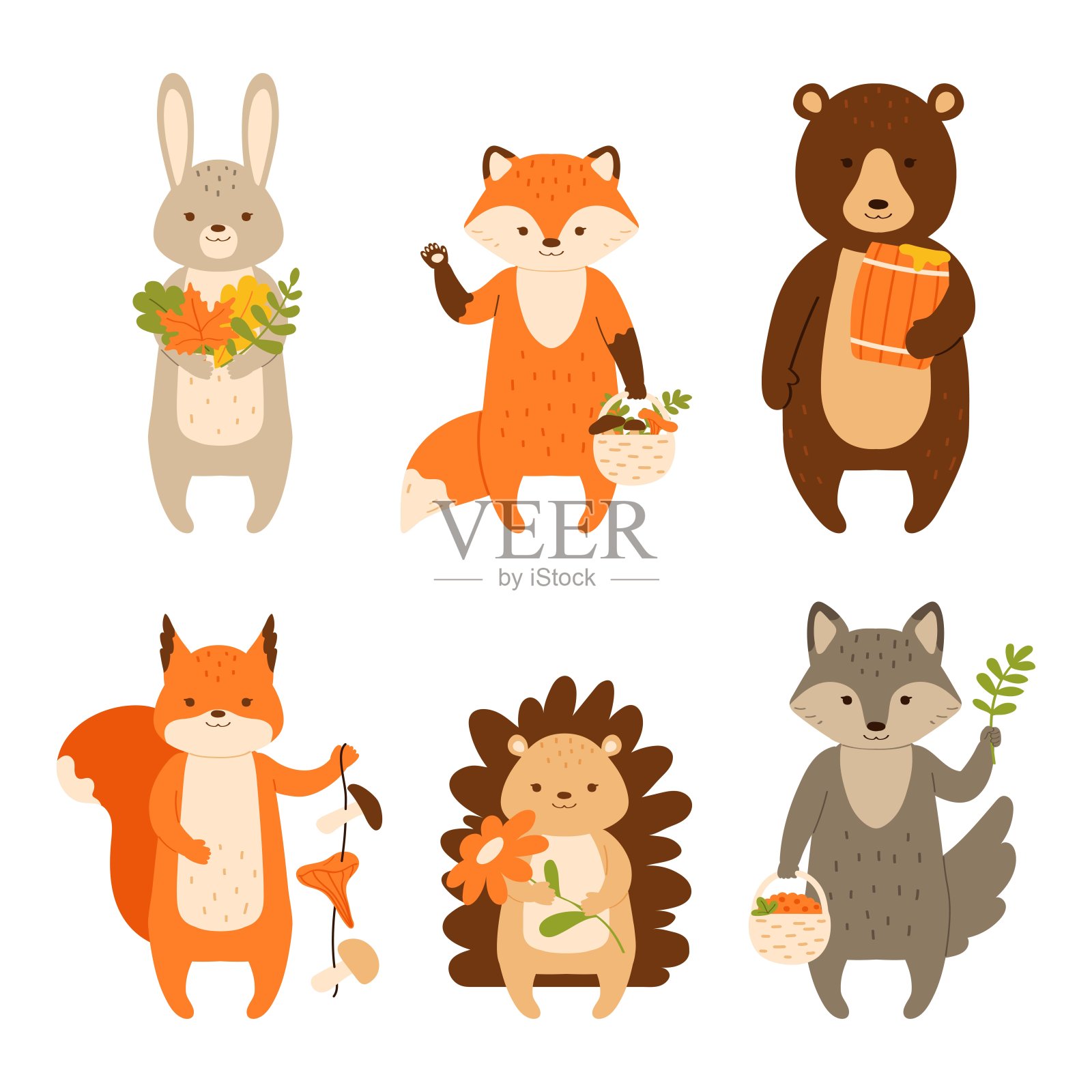 林地动物集合。秋天。字符隔离在白色背景上。矢量插图的孩子在平坦的风格。设计元素图片